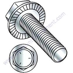60175 Screw .250-20 x .500 sflg hex G5 Generac Magnum MTP6DZD Trash Pump