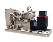 Generator, Standby, Custom Built, Gas-Powered - Winpower