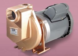 Pump, Centrifugal Electric, 1.5" (Gorman-Rupp 3890-97)