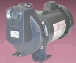 Pump, Centrifugal Electric, 1.5" (Gorman-Rupp 3890-98)