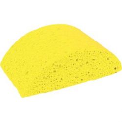 Turtleback Sponge (Marshalltown 16587)