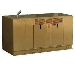 Winco PSS40LS Standby Generator 40 KW, Gas Single Phase (Winco PSS40LS)