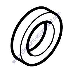A0000243540 (610703 PSI) SEAL OIL Generac Magnum PSI 11L Engine