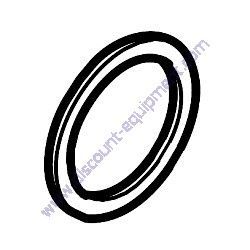 A0000255577 (610484 PSI) SEAL RING Generac Magnum PSI 14L 22L Engines