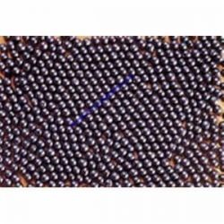 3404 National Flooring Shot, Steel, Medium, S-280, 50-pound bag